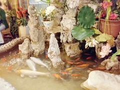 -多哥水傣味餐厅(司马巷店)
