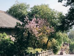 -天龙八部武侠城