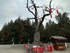 -尧庙景区