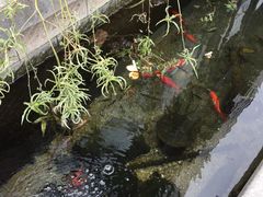 -泉乐坊步行街(烟酒特产平价超市店)