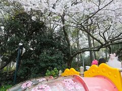 -杭州少年儿童公园