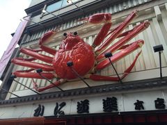 -蟹道乐(道顿堀本店)