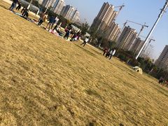 -菊园百果园
