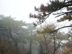-罗田天堂寨风景区