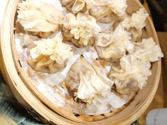 -老阿妈蒙古村·蒙古包·草原文化·歌舞表演(老君堂店)