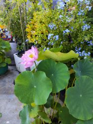 -今日陶艺(富力广场店)