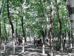 -亲兄弟真人CS团建拓展基地