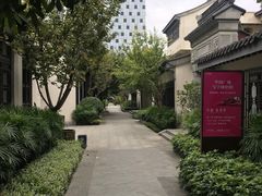 -松云泽