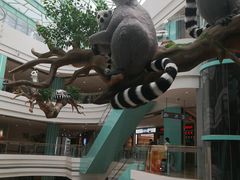 -大族广场Mall&More