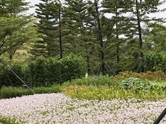 -德优正宗川菜馆