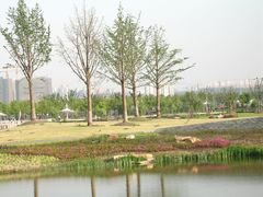 景点-新江湾城公园