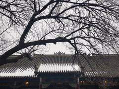 -张学良旧居陈列馆(大帅府)