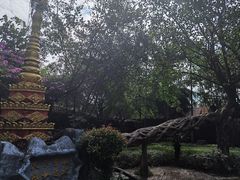 -瑞丽独树成林风景区