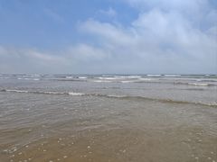 -日照海滨国家森林公园