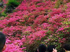 -木兰云雾山