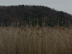 -南北湖风景区