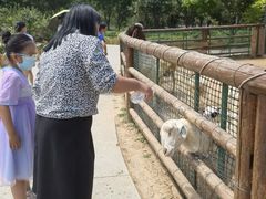-太原动物园