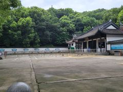 -上海佘山国家森林公园天马山园