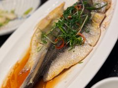 -正斗·港式粤菜(SKLP店)