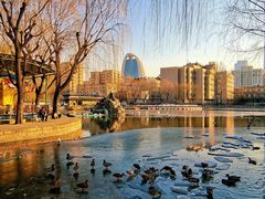 -团结湖公园