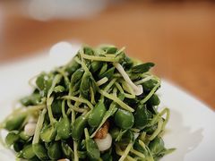 -沪上馨和小馆•海派上海菜(陆家浜路店)
