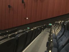 -深影国际影城(学院南路店CGS中国巨幕店)