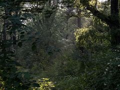 -长春市南湖公园