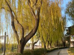 -西安汉城湖景区