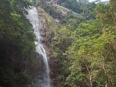 -九龙江国家森林公园