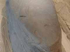 -白鹤梁水下博物馆