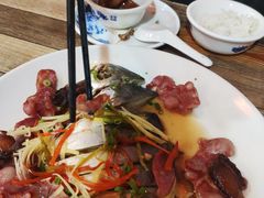 -东鸽皇(奥园·中环广场店)