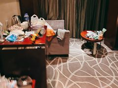 -常州环球恐龙城维景国际大酒店