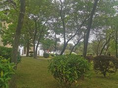 -大湾区中央湿地公园