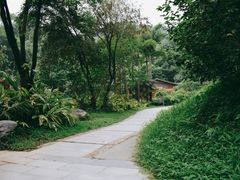 -云溪植物园