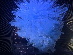 -深圳珠宝博物馆