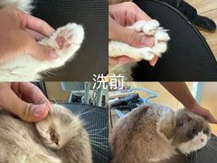 -听TA说宠咖·宠物生活馆(天韵水岸店)