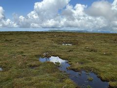 -芦芽山旅游度假区