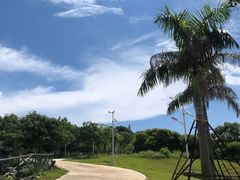 -龟龄岛