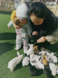 -萌宠亲子动物乐园(槐房万达店)