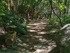 -大岭沟猕猴桃谷风景区