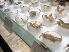 -半岛翡丽海鲜自助餐厅(观风亭店)
