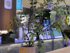 -茉莉奶白(广州动漫星城店)