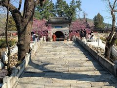 -红螺寺