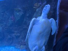 -太平洋海底世界