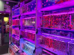 -花鸟鱼虫鲜花绿植市场(玉泉路店)