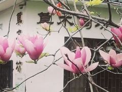 -晓港公园