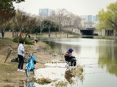 -新江湾城公园