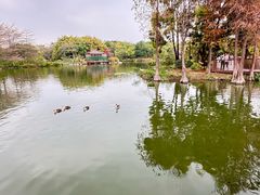 -海珠湖公园