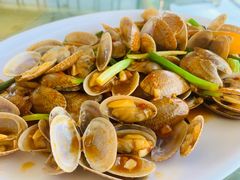 姜葱炒花甲-七鲜渔港美食餐厅(巽寮湾海景店)