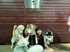 -TrueLove @ Neverland (Husky Cafe)